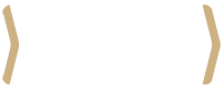 Light logo